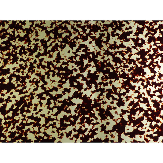 Incudo Vintage Spotted Tortoiseshell Celluloid Sheet - 430x370x0.8mm (16.9x14.57x0.03")